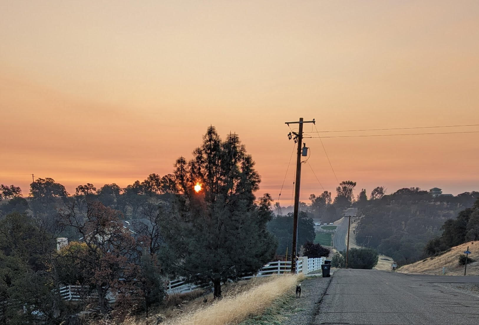 Penneleme Road Red Bluff, CA 96080 - Photo 6 of 8 roads