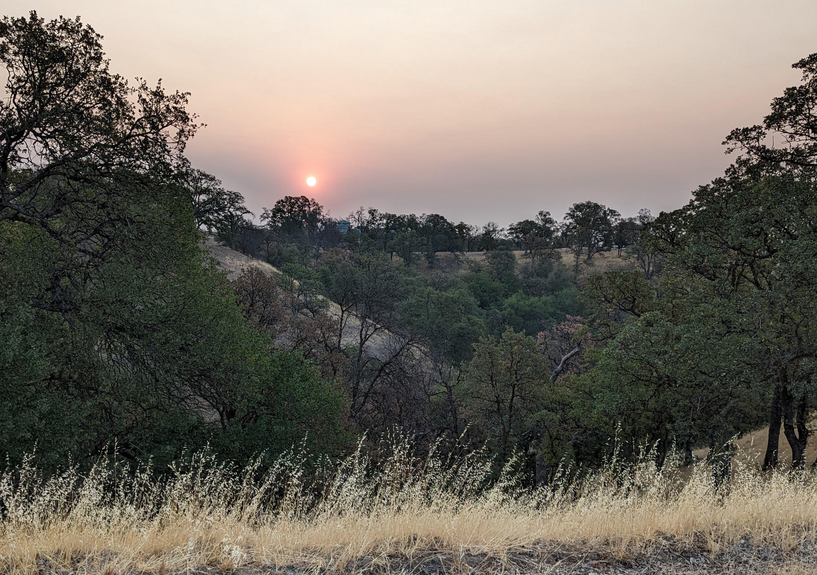 Penneleme Road Red Bluff, CA 96080 - Photo 7 of 8 sun