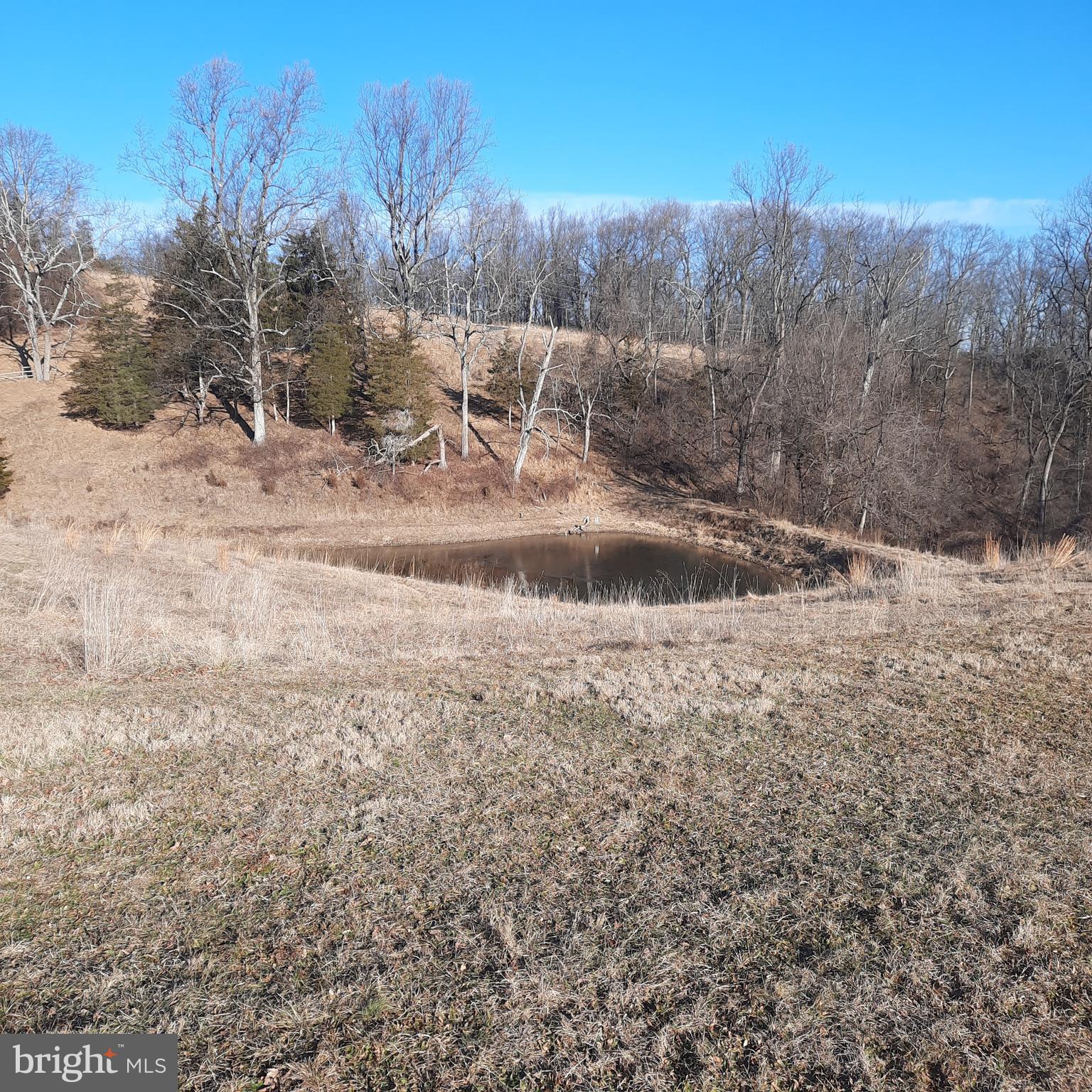 408 Kintner Road Kintnersville, PA 18930 - Photo 11 of 18 a view of a yard with trees