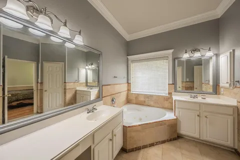 a bathroom with a tub a shower double vanity sink and mirror