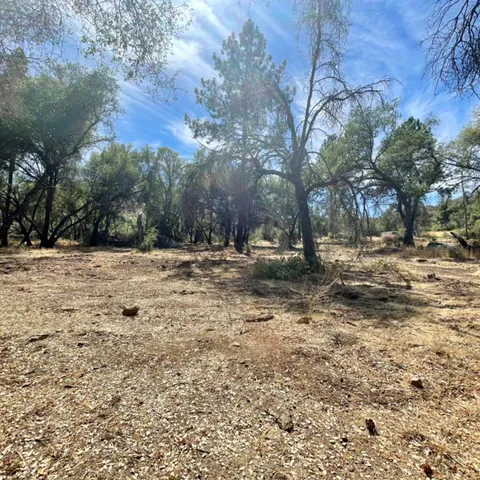 $110,000 | 0 Darby Road, Bangor, CA 95914