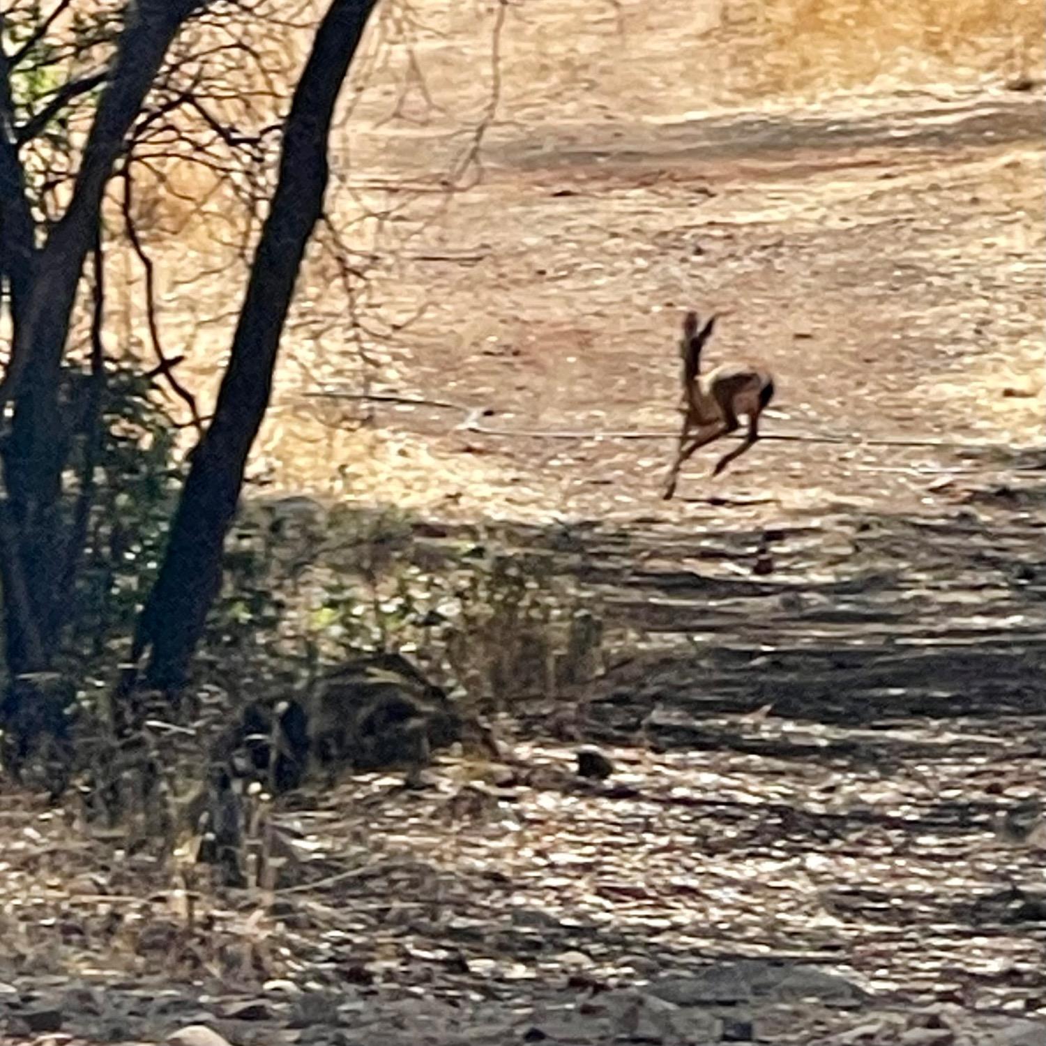 0 Darby Road Bangor, CA 95914 - Photo 13 of 14