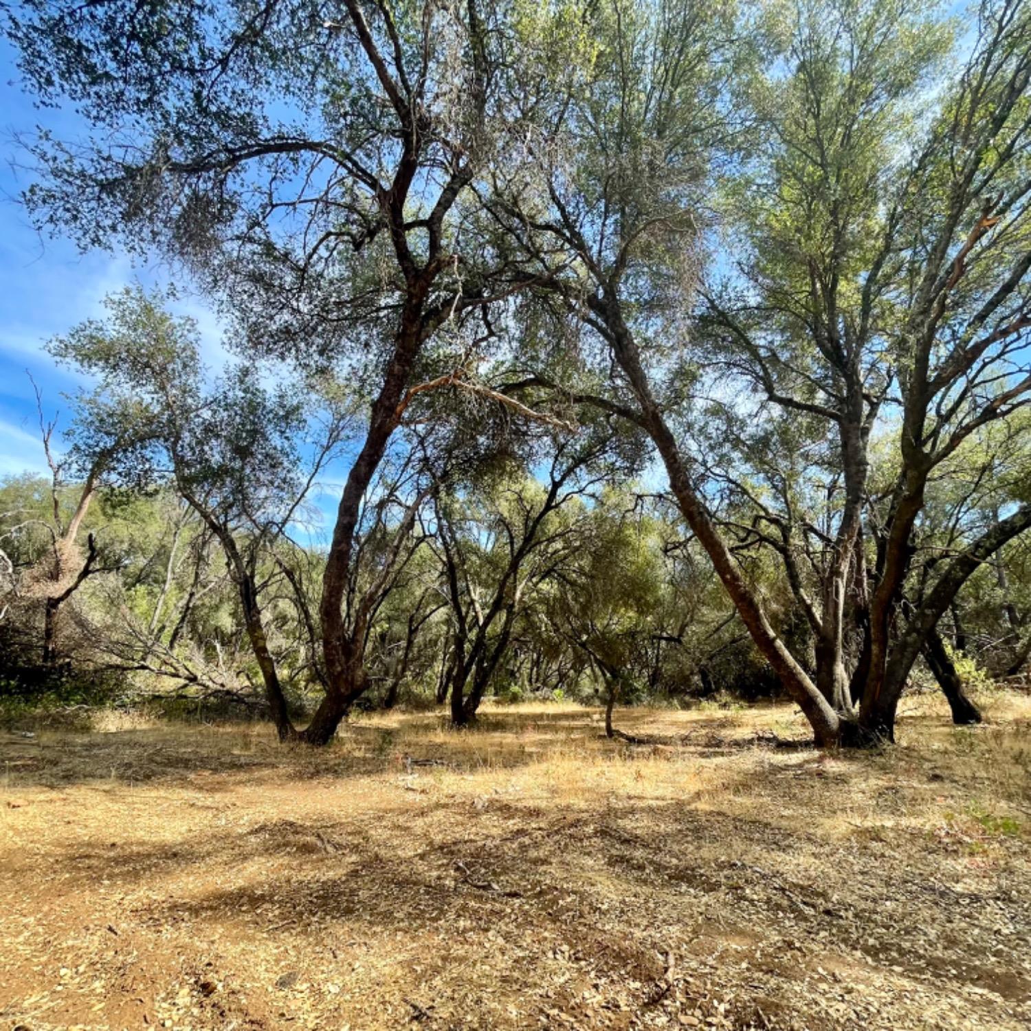 0 Darby Road Bangor, CA 95914 - Photo 2 of 14