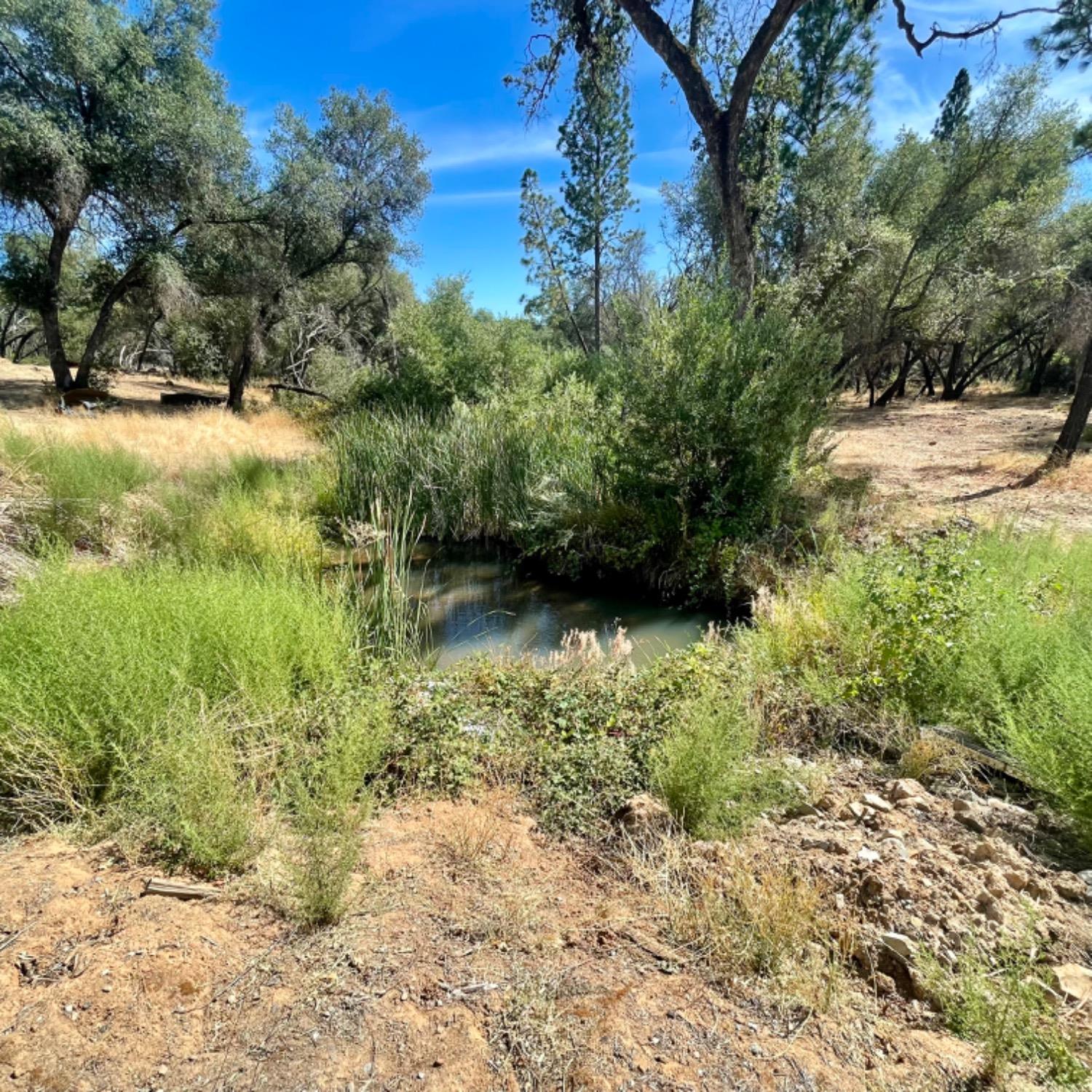 0 Darby Road Bangor, CA 95914 - Photo 4 of 14