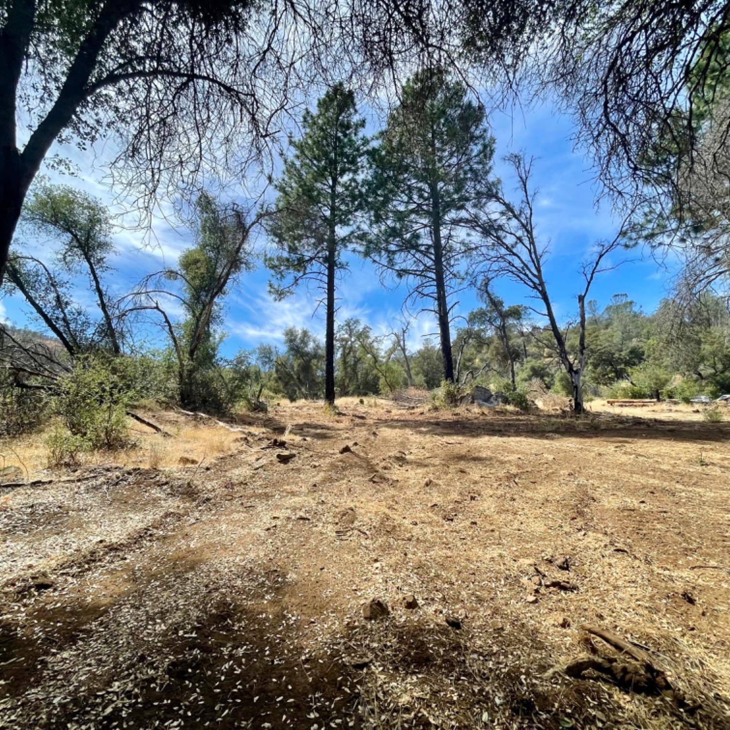 0 Darby Road Bangor, CA 95914 - Photo 6 of 14