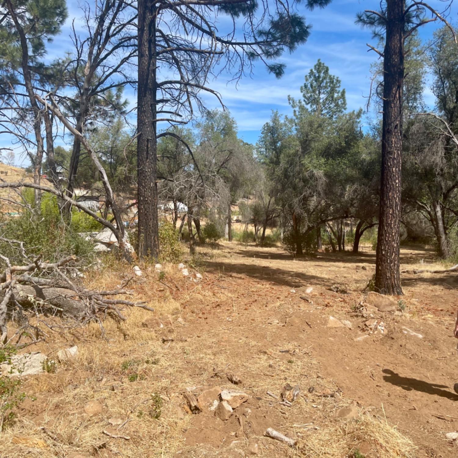 0 Darby Road Bangor, CA 95914 - Photo 7 of 14