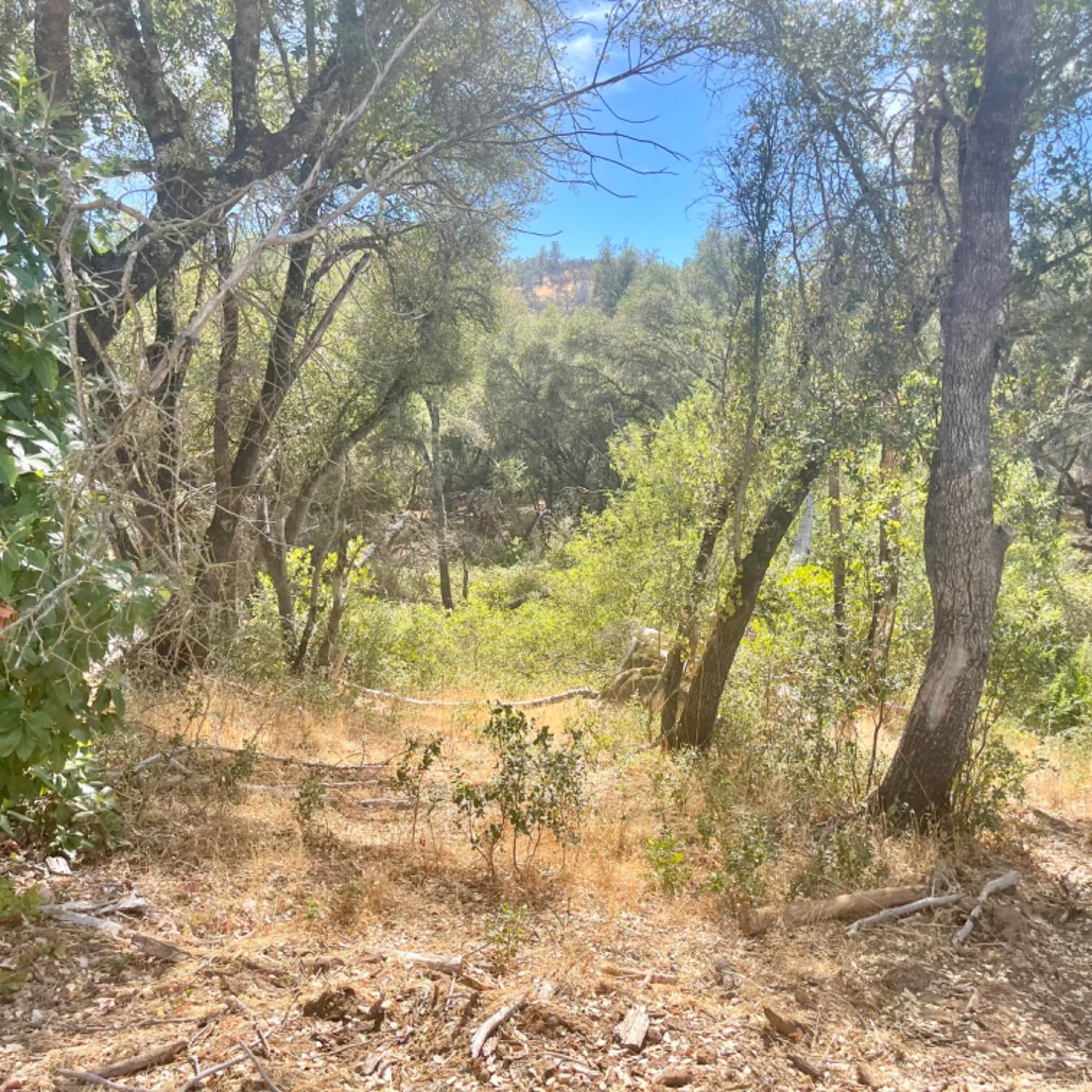 0 Darby Road Bangor, CA 95914 - Photo 8 of 14