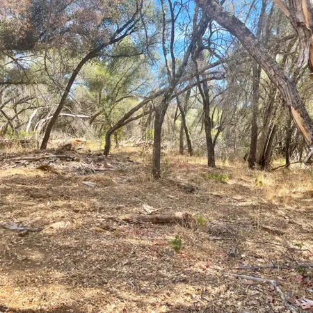 $99,500 | 0 Darby Road, Bangor, CA 95914