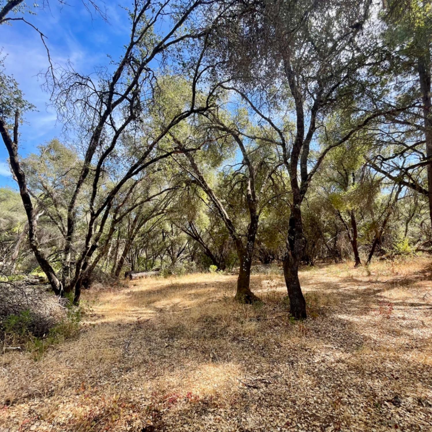 0 Darby Road Bangor, CA 95914 - Photo 10 of 14