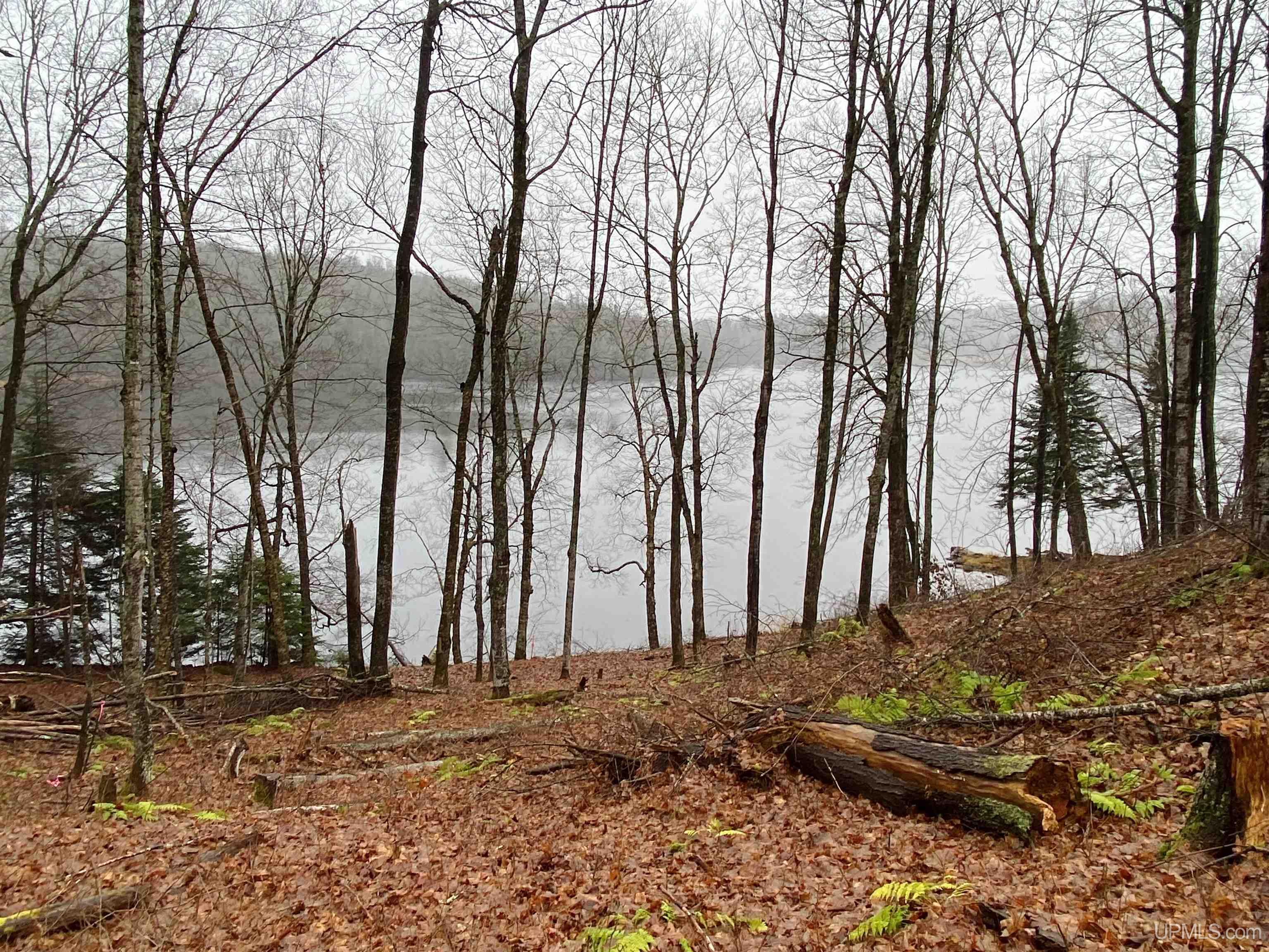 Tbd West Tamarack Lake Road, Unit LOT 5 Watersmeet, MI 49969 - Photo 6 of 66