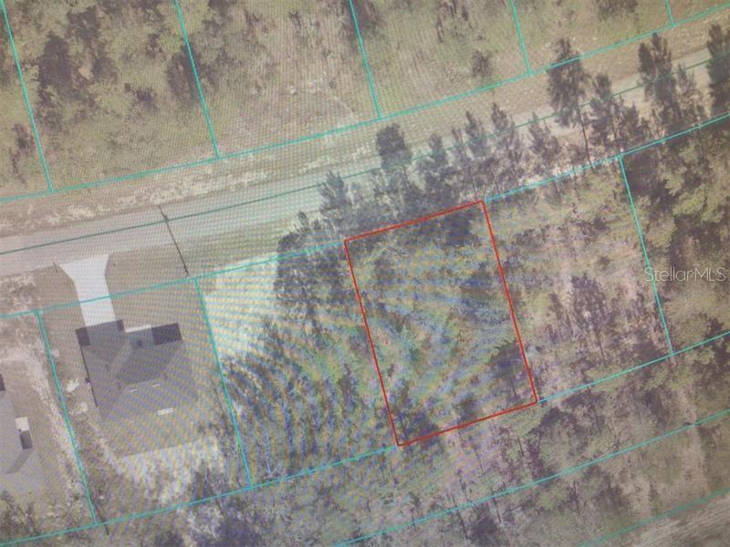 153 Southwest Place Road Ocala, FL 34473 - Photo 4 of 5