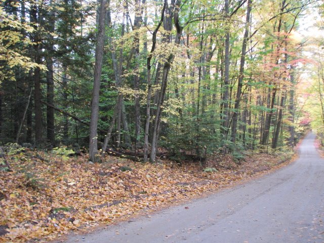 Dodge Hill Road Henniker, NH 03242 - Photo 5 of 7