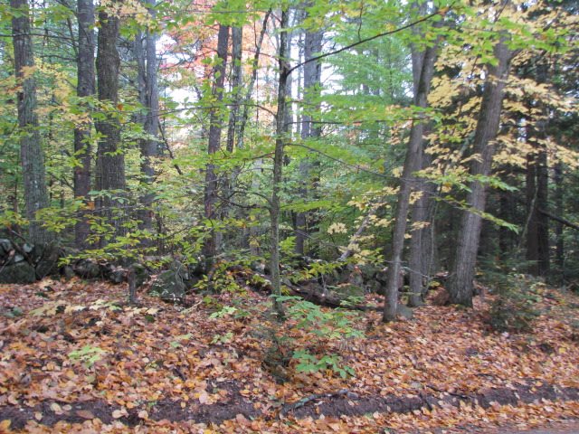 Dodge Hill Road Henniker, NH 03242 - Photo 6 of 7