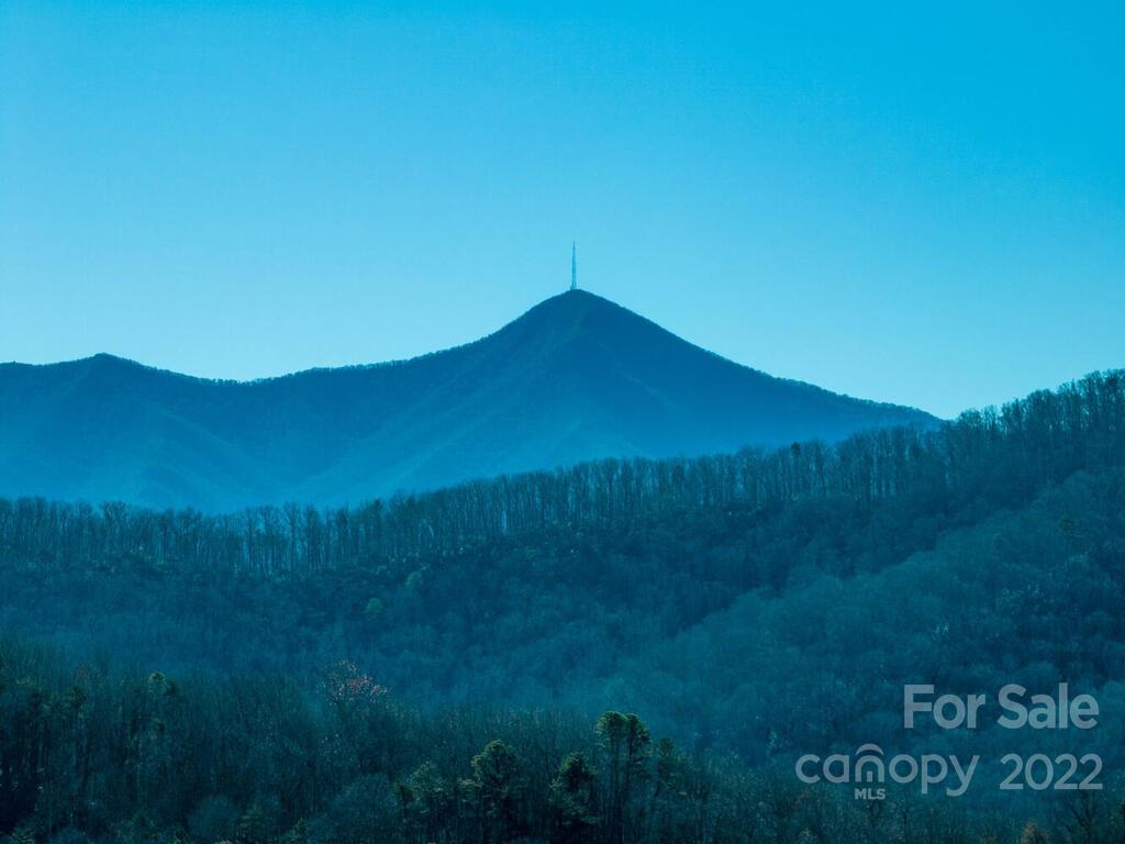 6 Tylers Run Road, Unit 12 Candler, NC 28715 - Photo 13 of 31