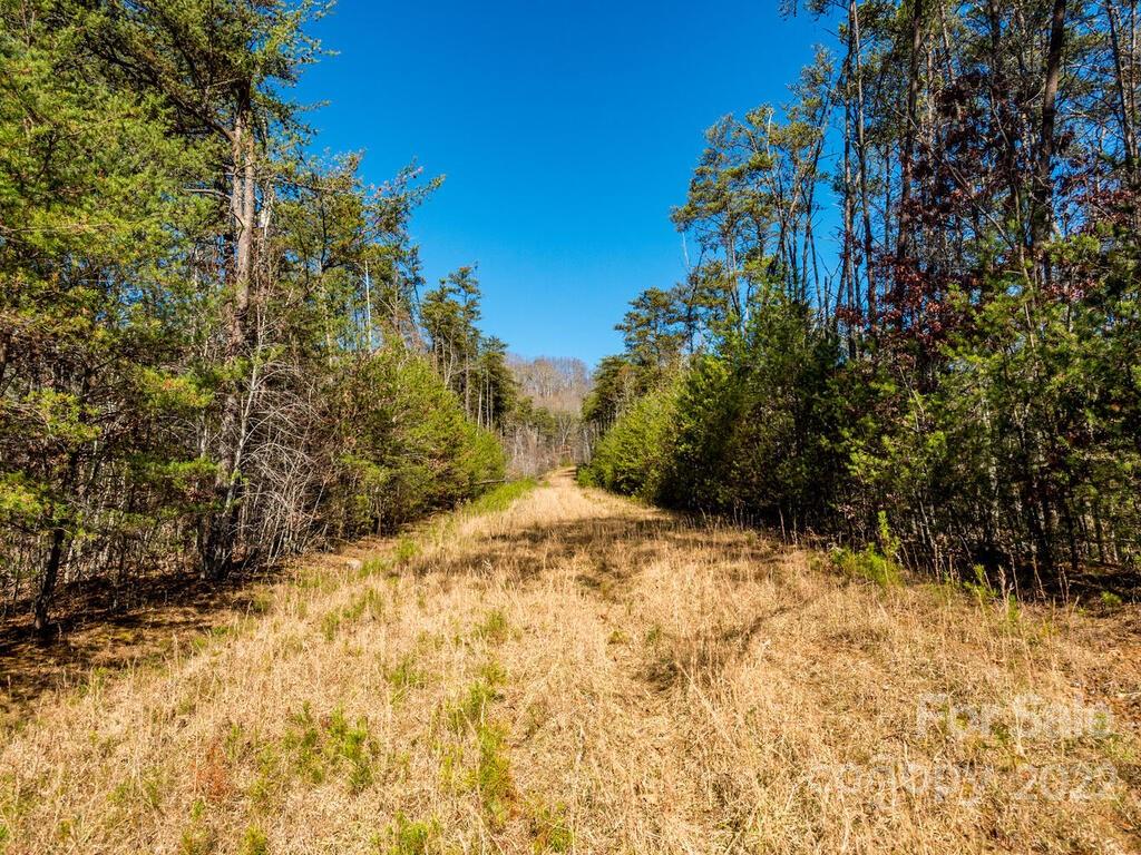 6 Tylers Run Road, Unit 12 Candler, NC 28715 - Photo 15 of 31