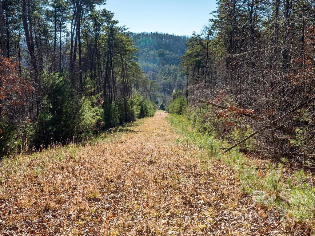 6 Tylers Run Road, Unit 12 Candler, NC 28715 - Photo 16 of 31