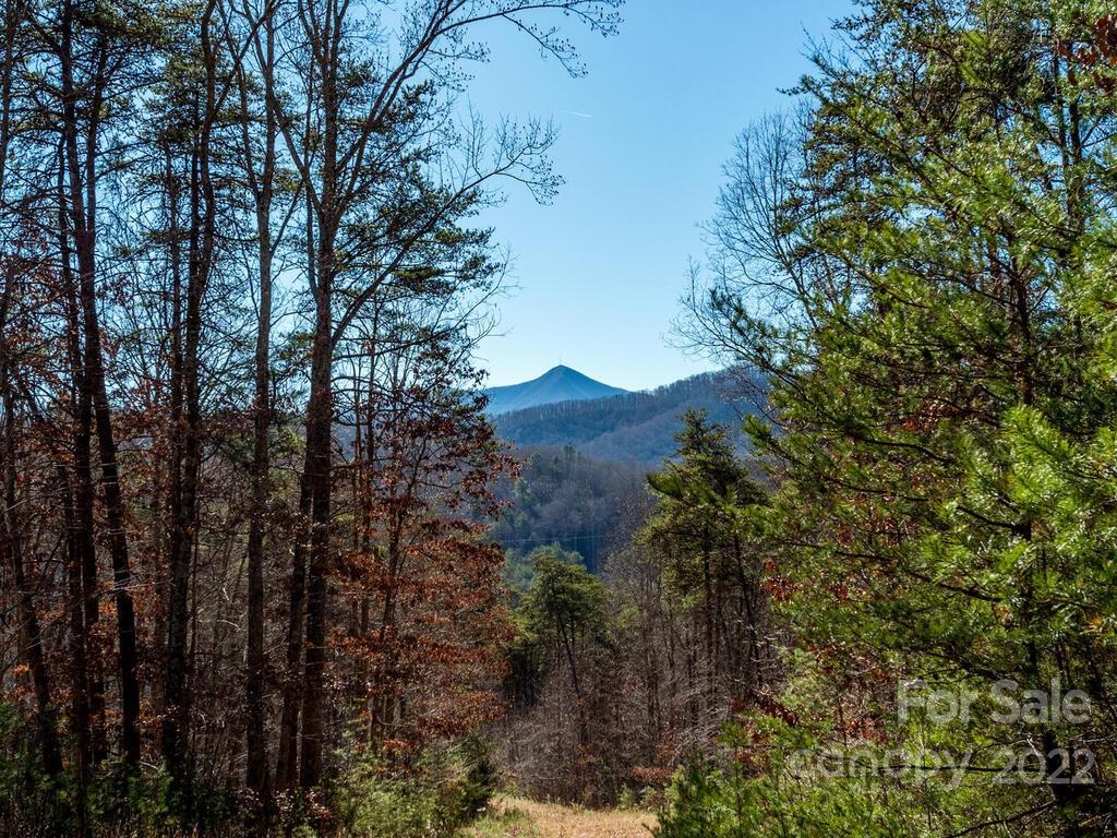 6 Tylers Run Road, Unit 12 Candler, NC 28715 - Photo 17 of 31