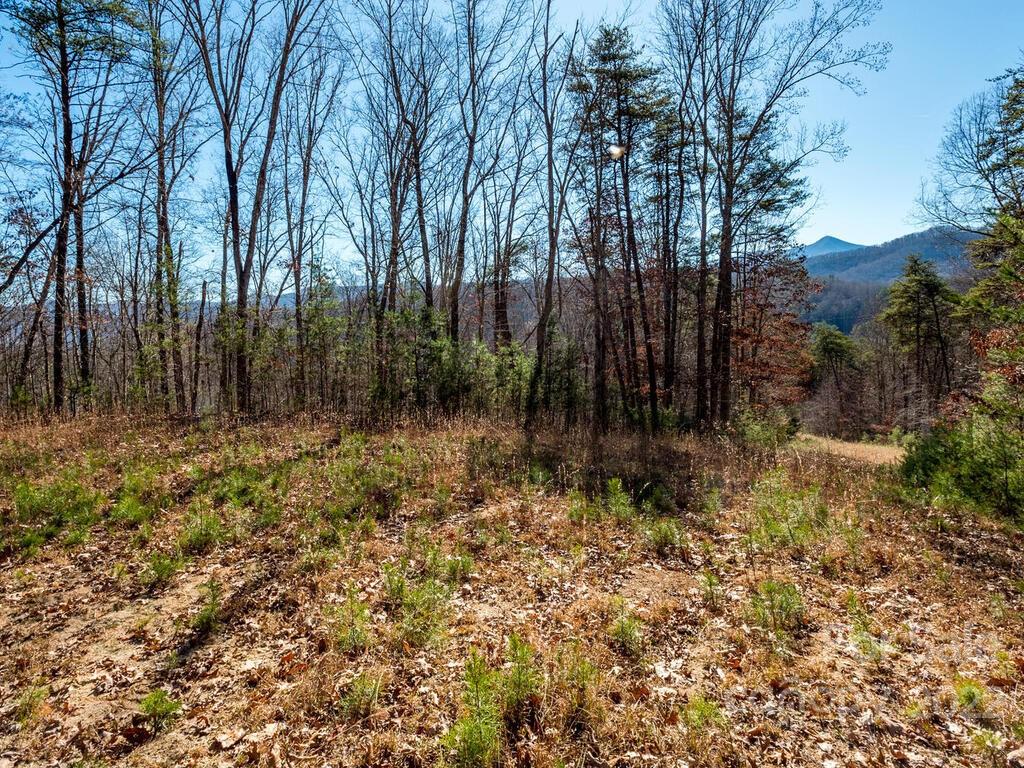 6 Tylers Run Road, Unit 12 Candler, NC 28715 - Photo 18 of 31