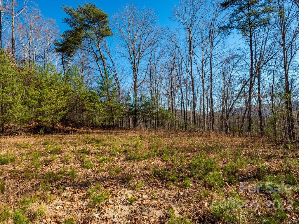 6 Tylers Run Road, Unit 12 Candler, NC 28715 - Photo 19 of 31