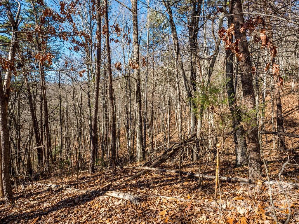 6 Tylers Run Road, Unit 12 Candler, NC 28715 - Photo 20 of 31