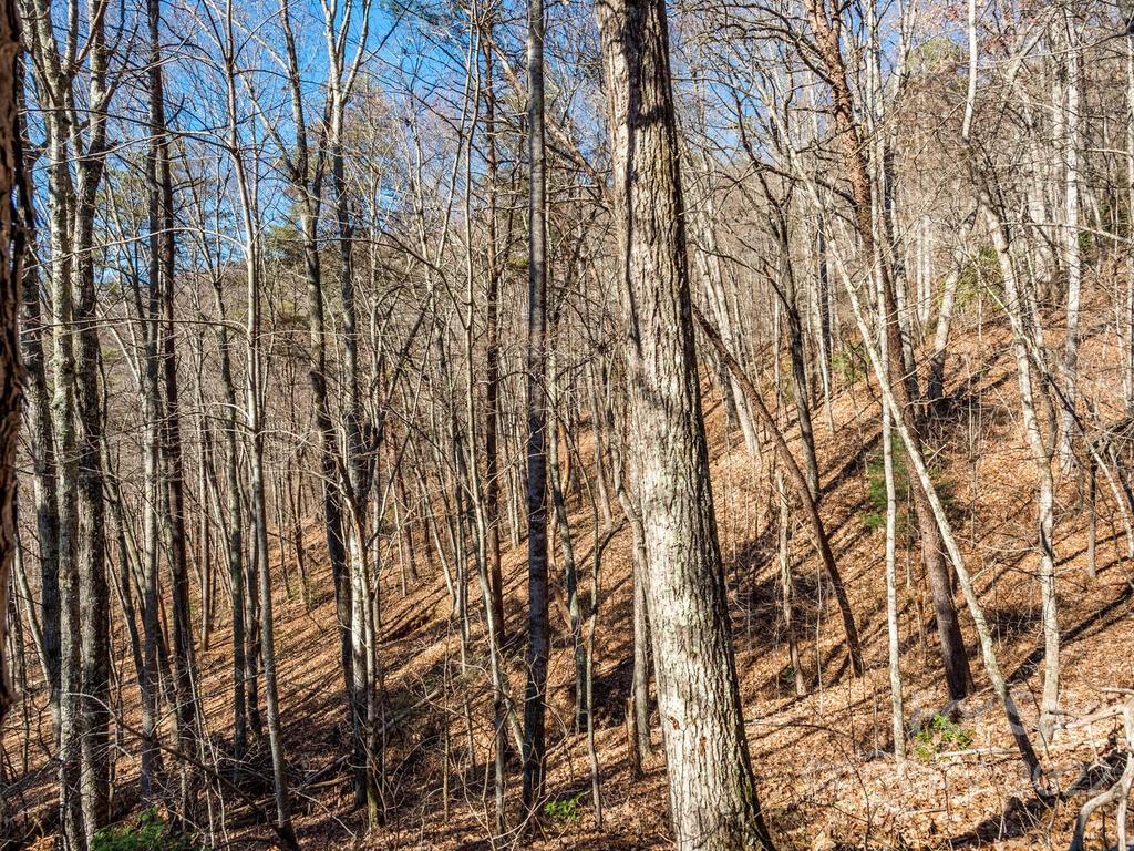 6 Tylers Run Road, Unit 12 Candler, NC 28715 - Photo 21 of 31