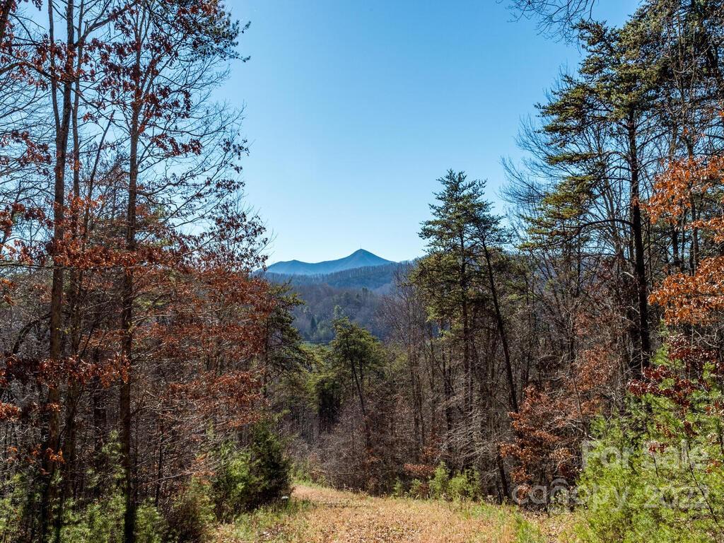 6 Tylers Run Road, Unit 12 Candler, NC 28715 - Photo 22 of 31