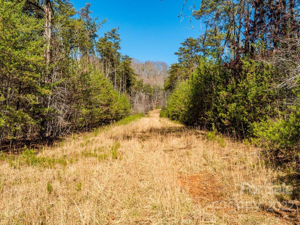 6 Tylers Run Road, Unit 12 Candler, NC 28715 - Photo 23 of 31