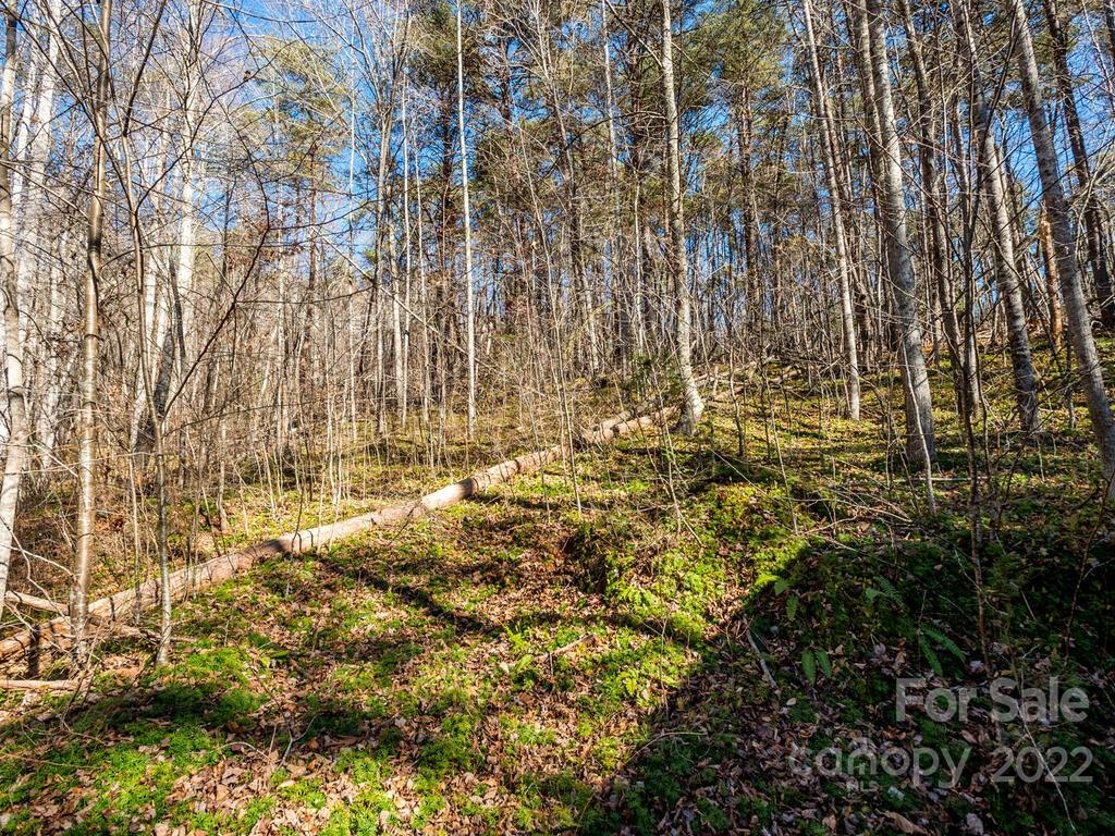6 Tylers Run Road, Unit 12 Candler, NC 28715 - Photo 26 of 31