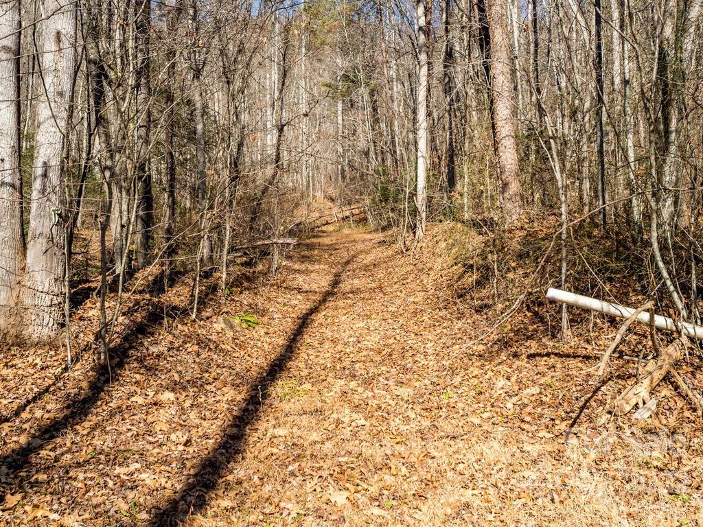 6 Tylers Run Road, Unit 12 Candler, NC 28715 - Photo 27 of 31