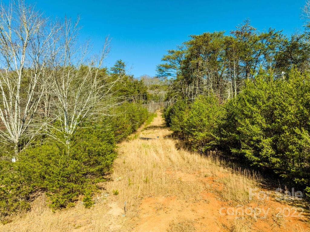 6 Tylers Run Road, Unit 12 Candler, NC 28715 - Photo 3 of 31