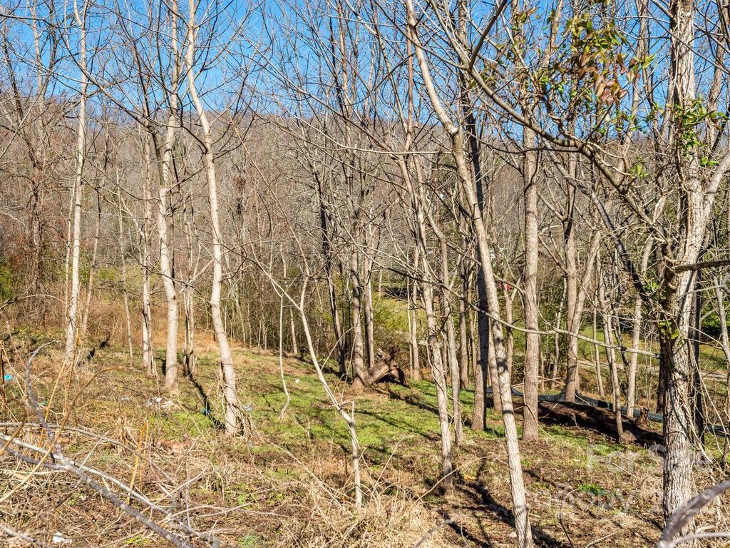 6 Tylers Run Road, Unit 12 Candler, NC 28715 - Photo 31 of 31