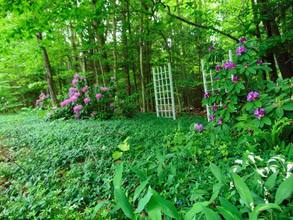 21 Fred Catlin Road Owego, NY 13827 - Photo 18 of 18 Gallery Image 18