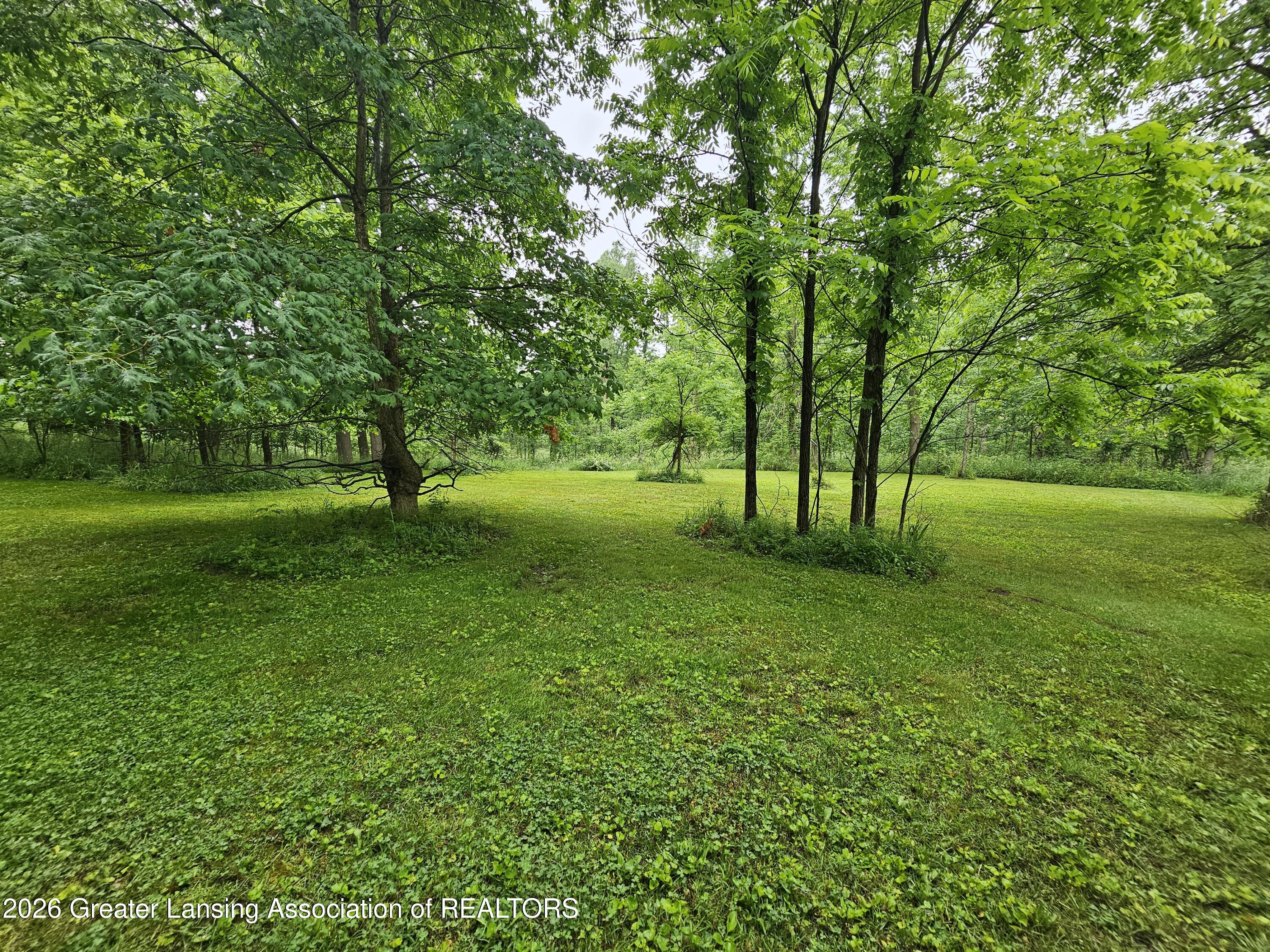 14540 South Wacousta Road Grand Ledge, MI 48837 - Photo 33 of 48 Yard