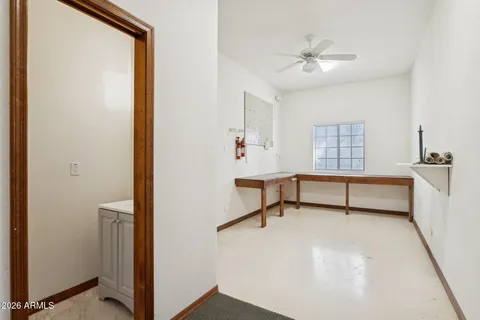 a view of a yard with plants and trees