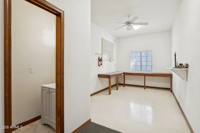 a view of a yard with plants and trees