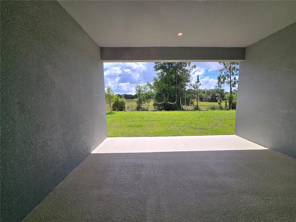 33965 Field Maple Loop Wesley Chapel, FL 33545 - Photo 43 of 51 Gallery Image 43
