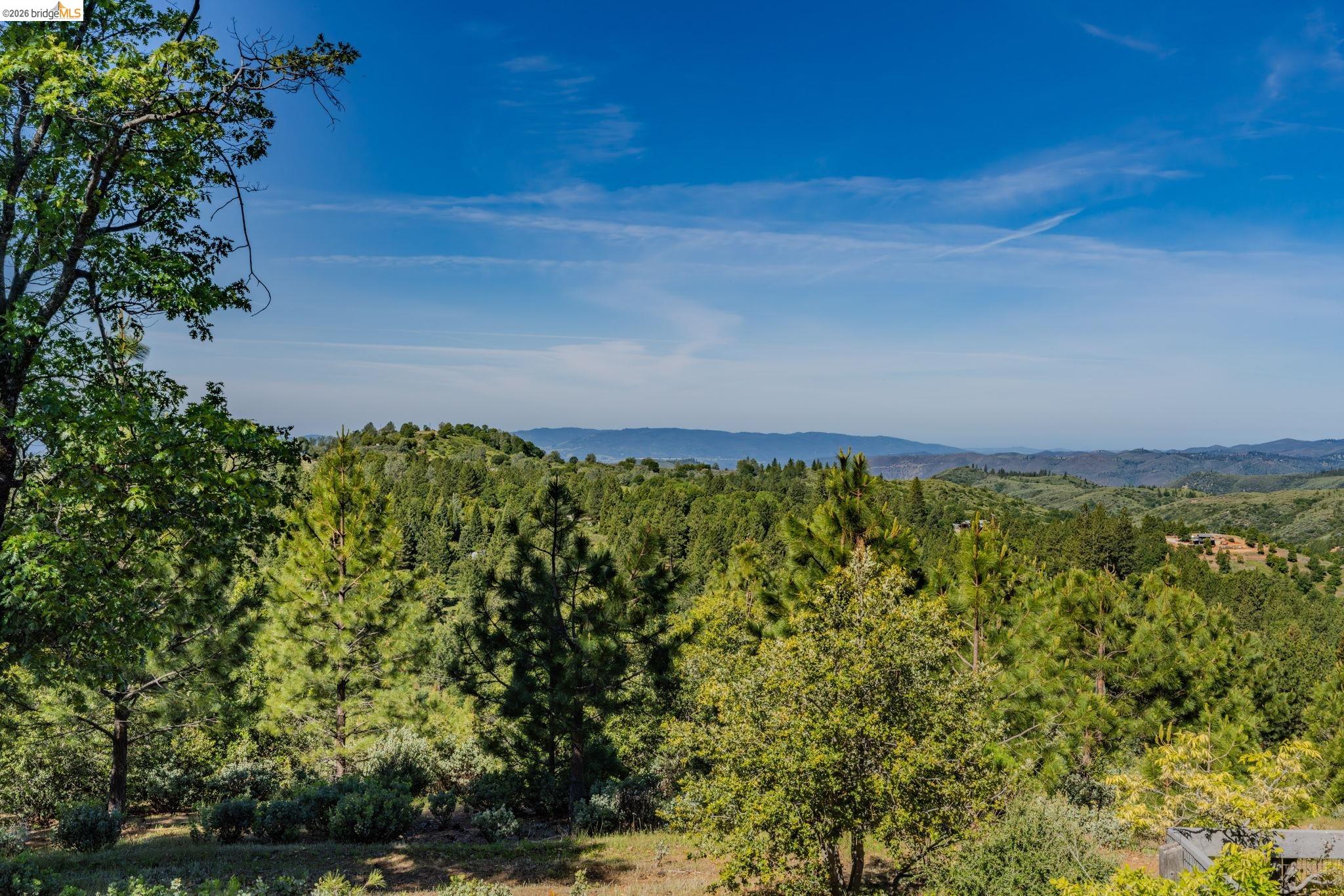 6161 Fullen Road Murphys, CA 95247 - Photo 14 of 53 a view of a large yard with lots of green space