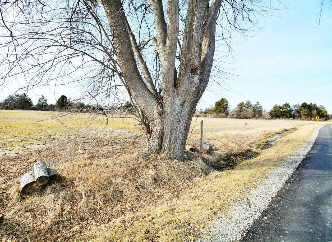 5 Carters Corner Road Sunbury, OH 43074 - Photo 9 of 12 20220305043343773250000000-o