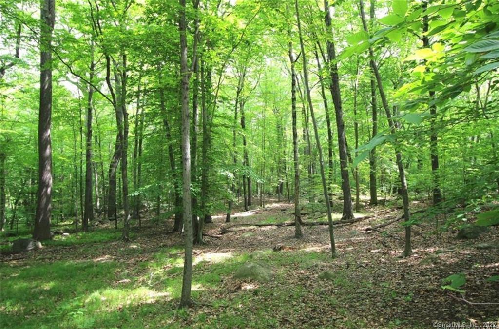 0 Mountain Road Wilton, CT 06897 - Photo 2 of 12 a view of yard