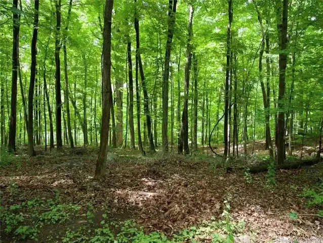 a view of outdoor space and trees