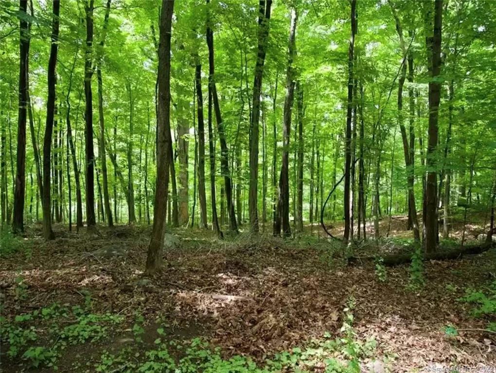 0 Mountain Road Wilton, CT 06897 - Photo 3 of 12 a view of outdoor space and trees