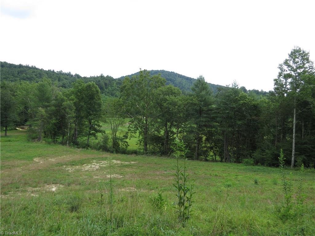 479 Benny Parsons Road Purlear, NC 28665 - Photo 29 of 44