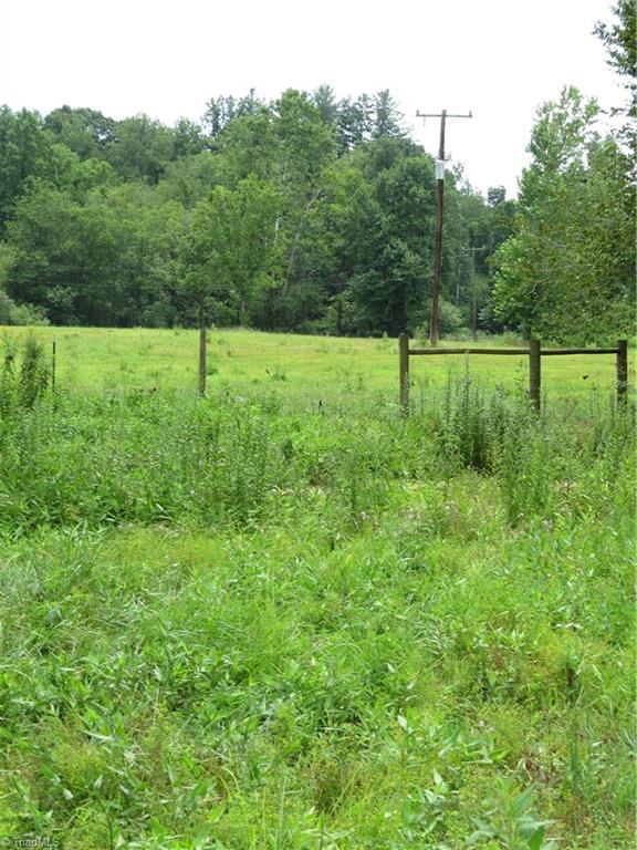 479 Benny Parsons Road Purlear, NC 28665 - Photo 33 of 44