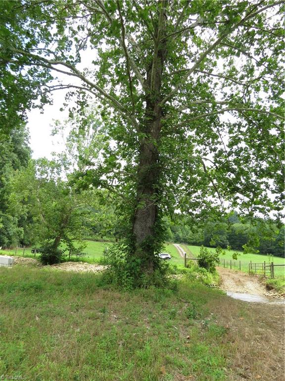 479 Benny Parsons Road Purlear, NC 28665 - Photo 35 of 44