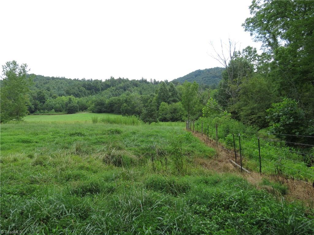 479 Benny Parsons Road Purlear, NC 28665 - Photo 39 of 44