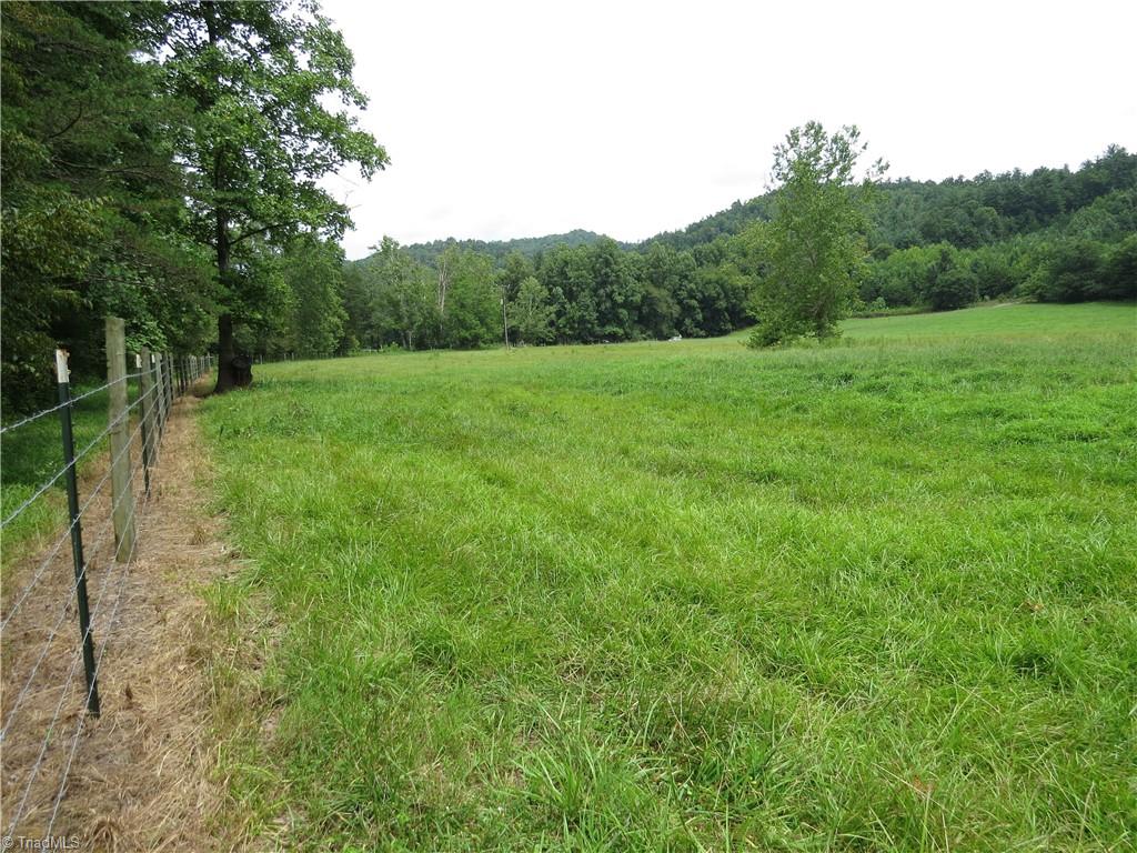479 Benny Parsons Road Purlear, NC 28665 - Photo 44 of 44