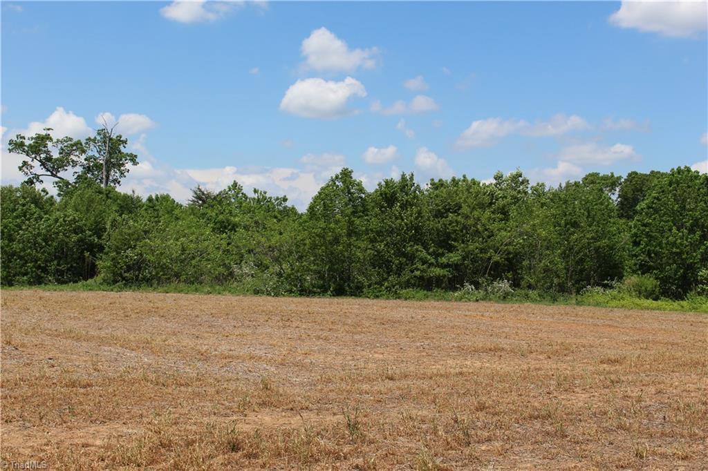 0 Byerly Road Lexington, NC 27295 - Photo 1 of 2 Gallery Image 1