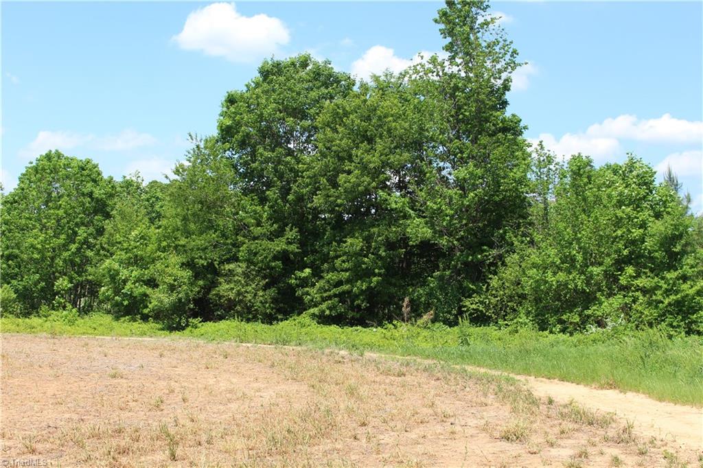0 Byerly Road Lexington, NC 27295 - Photo 2 of 2 Gallery Image 2