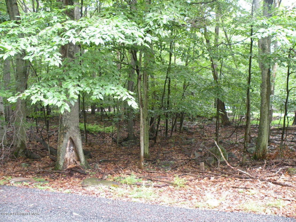 Lot View 1