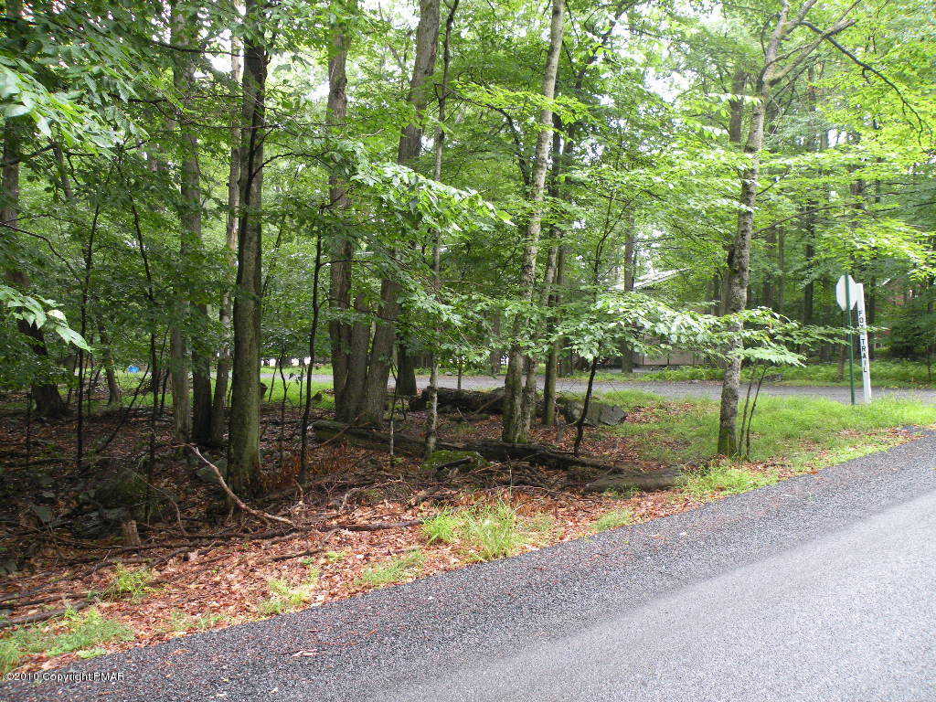 Lot View 2